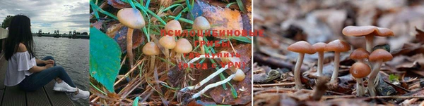MDMA Алексеевка